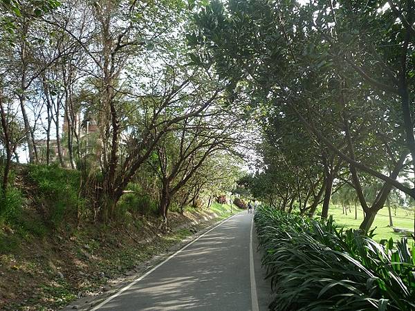 美崙山--松園. 美崙溪.花蓮港