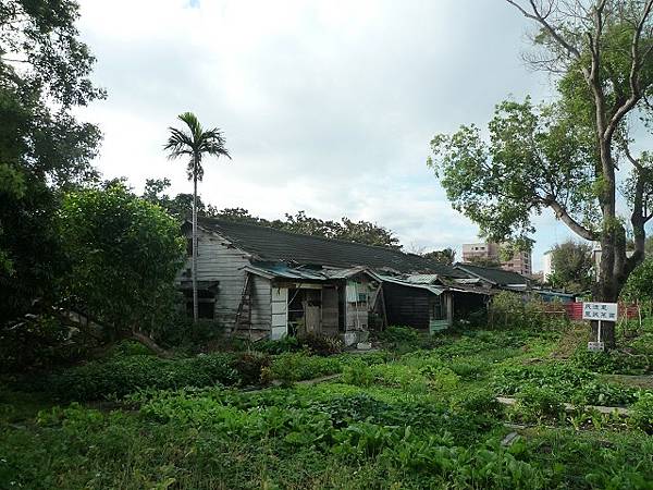 美崙山--松園. 美崙溪.花蓮港