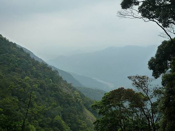 小出山--惠蓀林場.