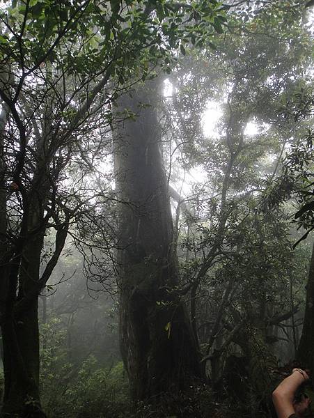 高台山島田山- -