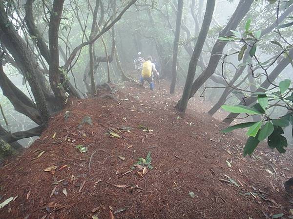 屋我尾山走東卯山