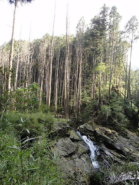 千人洞走水漾森林登鹿屈山(下)~中級山的終極長征路線(午後至