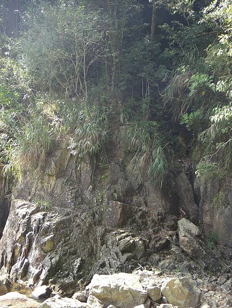 千人洞走水漾森林登鹿屈山(下)~中級山的終極長征路線(午後至