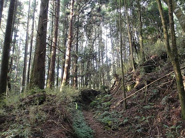 千人洞走水漾森林登鹿屈山(下)~中級山的終極長征路線(午後至