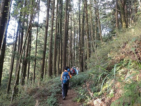 千人洞走水漾森林登鹿屈山(下)~中級山的終極長征路線(午後至