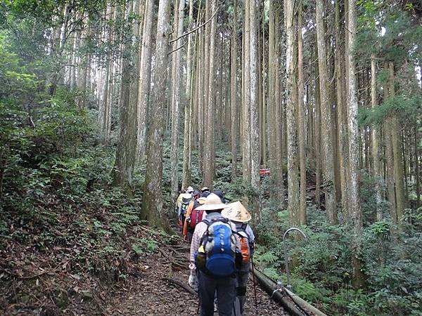 哈堪尼山縱走佳里山~好雲天好山林