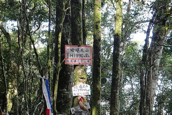 哈堪尼山縱走佳里山~好雲天好山林