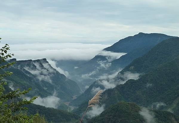 哈堪尼山縱走佳里山~好雲天好山林