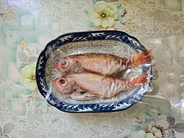 紅喉       20251017南方澳漁港