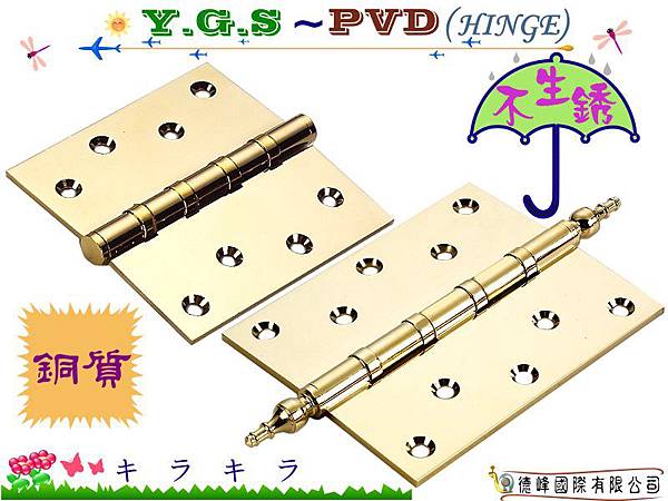 YGS~PVD HINGE