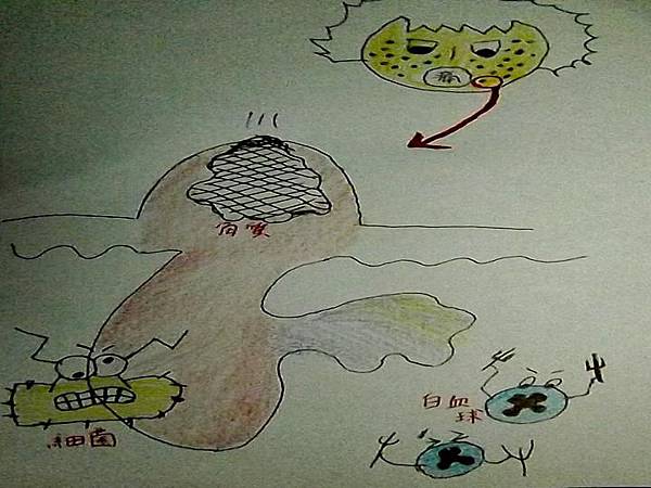 投影片1.JPG 投影片1.JPG