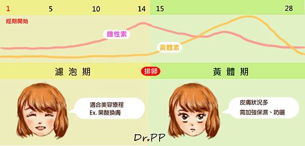經期美容容.jpg