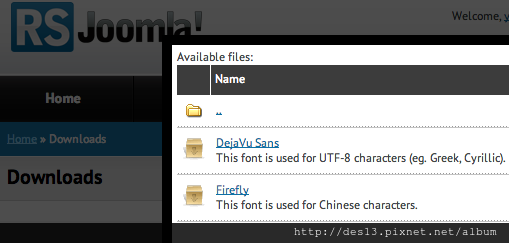 rsform pro 中文