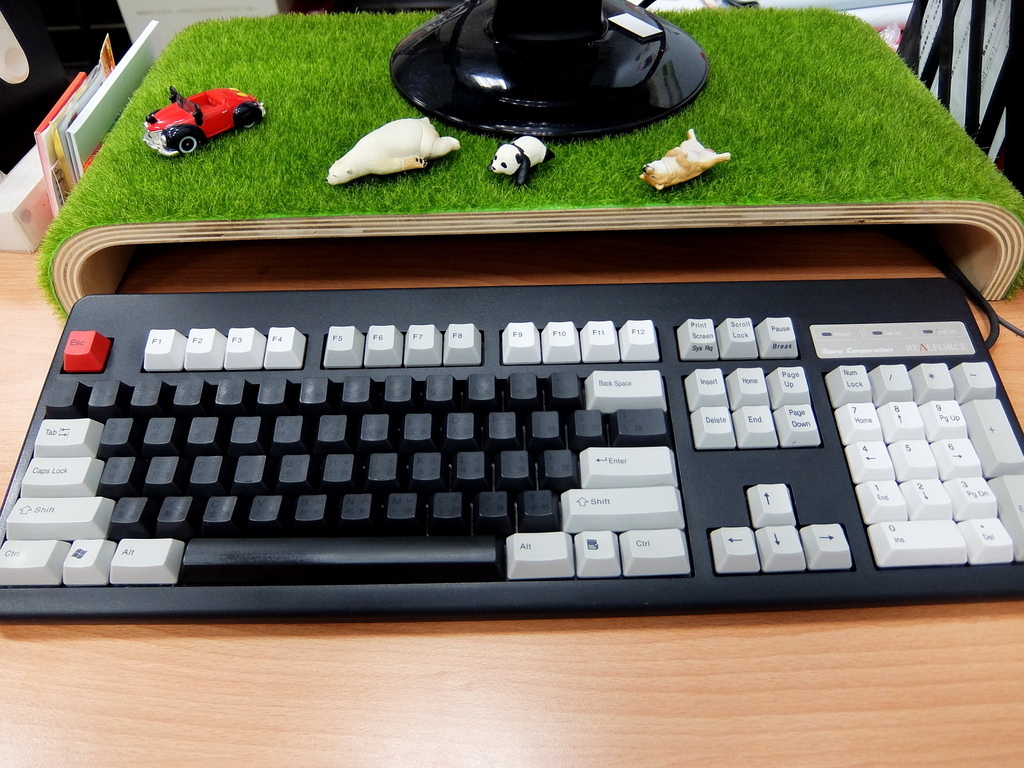 DSCF4405.JPG DSCF4405.JPG