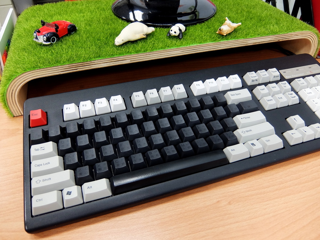 DSCF4404.JPG DSCF4404.JPG