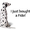 FIDO ADS