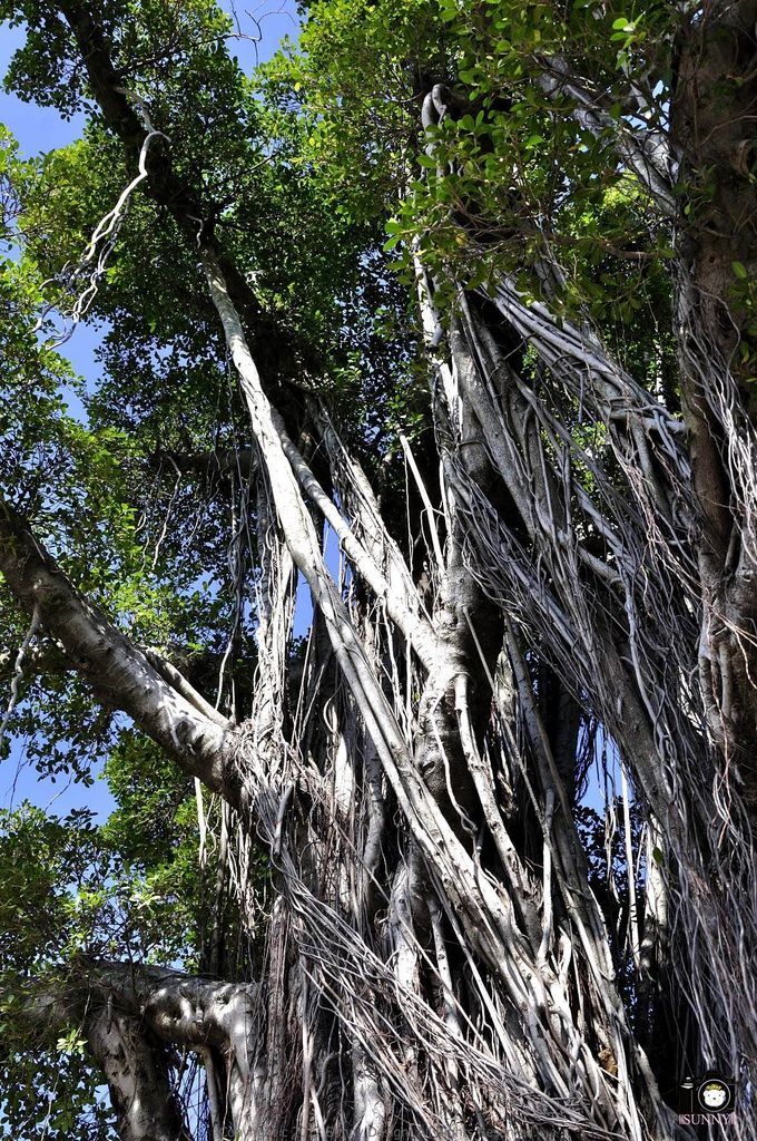 Copyright 2012 Sunny Design. All Rights Reserved. 版權所有 不得轉載 Copyright 2012 Sunny Design. All Rights Reserved. 版權所有 不得轉載