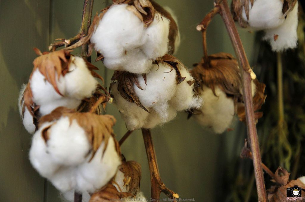 Copyright 2012 Sunny Design. All Rights Reserved. 版權所有 不得轉載 Copyright 2012 Sunny Design. All Rights Reserved. 版權所有 不得轉載