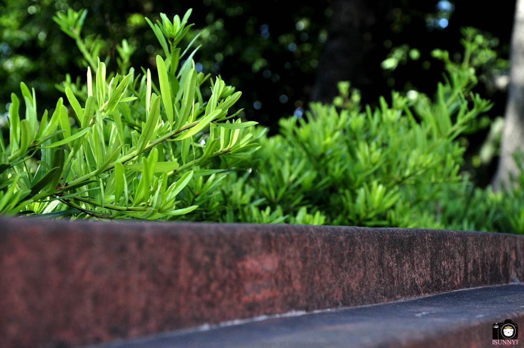 Copyright 2012 Sunny Design. All Rights Reserved. 版權所有 不得轉載 Copyright 2012 Sunny Design. All Rights Reserved. 版權所有 不得轉載