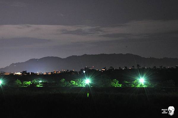 綠美橋夜拍