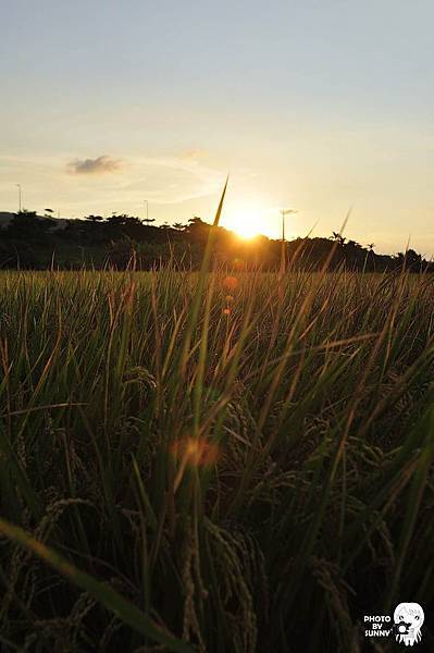 (圖、文未經許可，嚴禁轉載) ∥小宛 林 Sunny攝影 版權所有∥ © 2013 Sunny Taiwan All Rights Reserved.