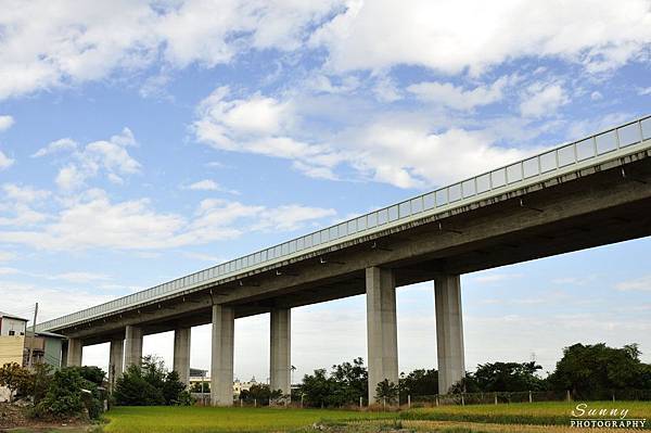  霧峰 落羽松+光復新村