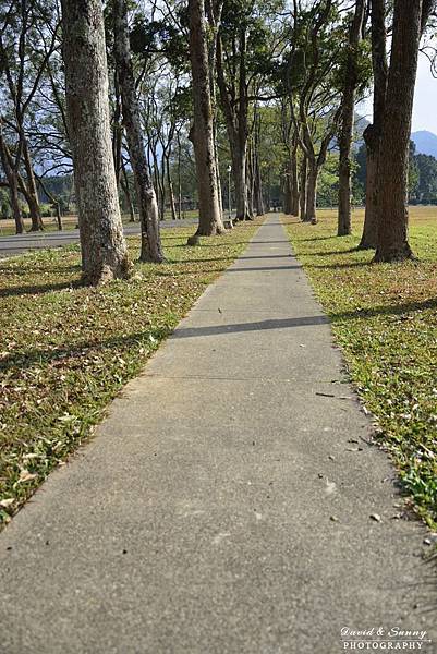 洋紅風鈴木+三育基督教學院