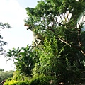 頑皮世界野生動物園– 南台灣最大的野生動物園