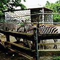 頑皮世界野生動物園– 南台灣最大的野生動物園