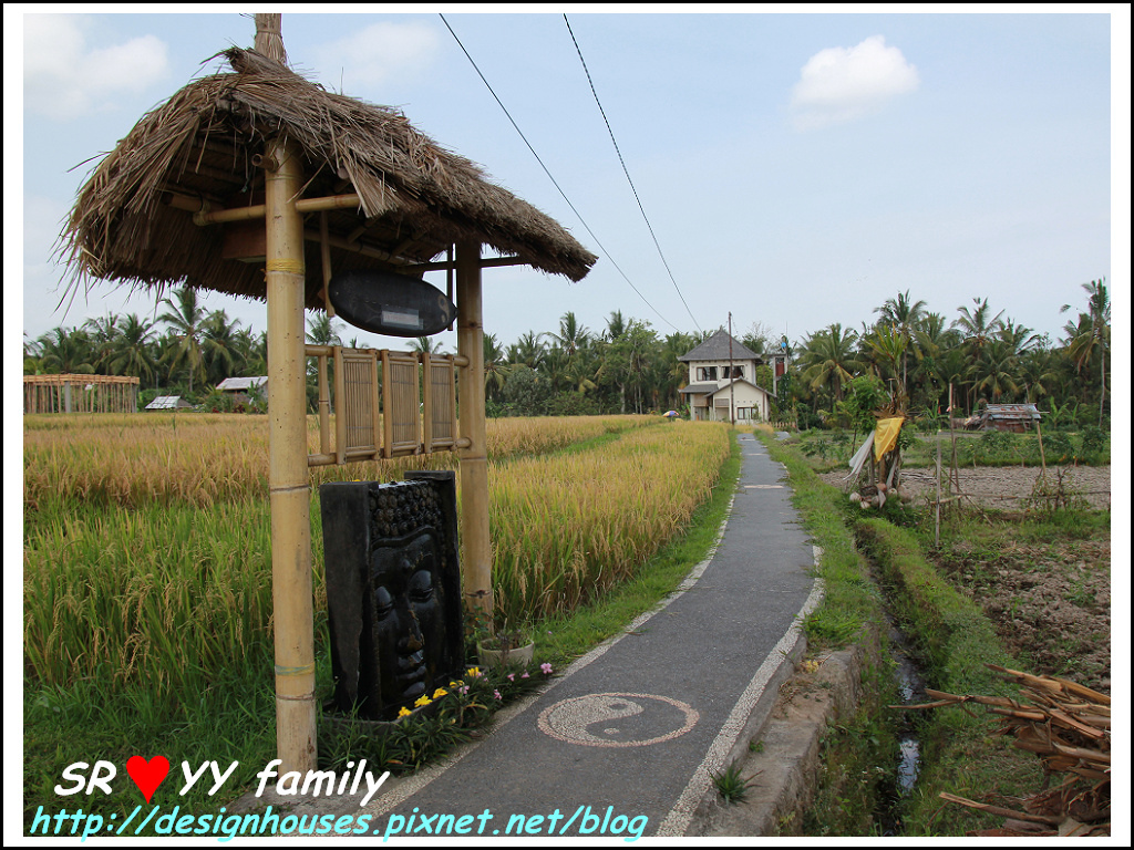  Bali-Ubud_Sari Organik 景觀無敵的稻田有機餐廳27.jpg