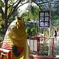 2009-1-31走馬瀨_0027.JPG