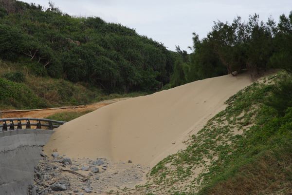 單車環島 (117).jpg