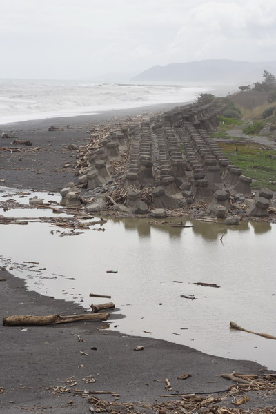 單車環島 (163).jpg