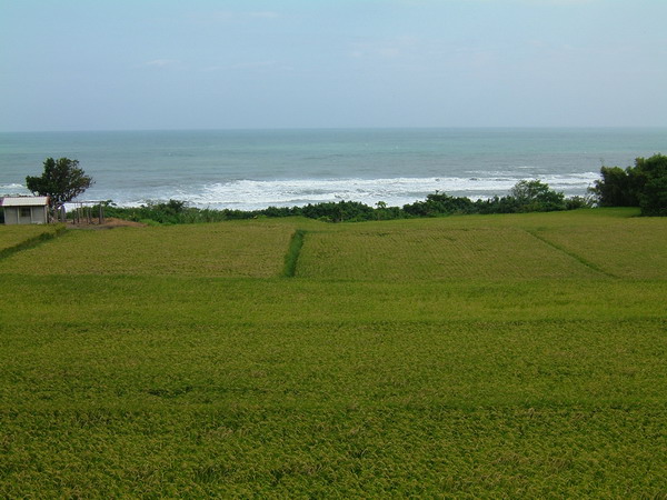 單車環島 (256).jpg