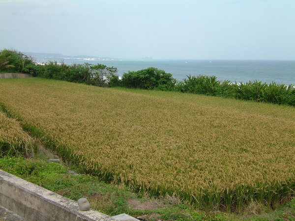 單車環島 (262).jpg