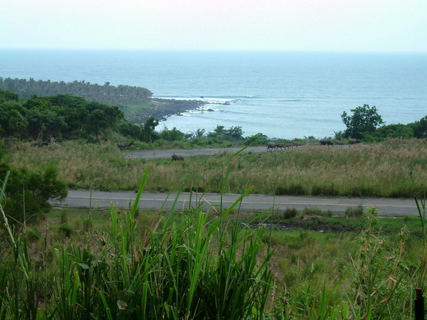 單車環島 (266).jpg