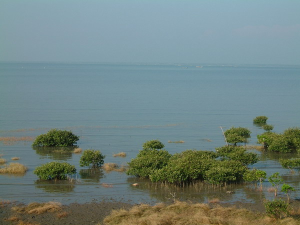 單車環島 (419).jpg