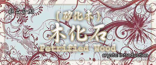 永不幻滅的長壽之石 木化石petrified Wood 太陽貓水晶 痞客邦 永不幻滅的長壽之石 木化石petrified Wood 太陽貓水晶 痞客邦