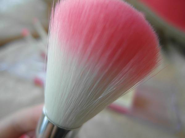 SAM_7862.JPG SAM_7862.JPG