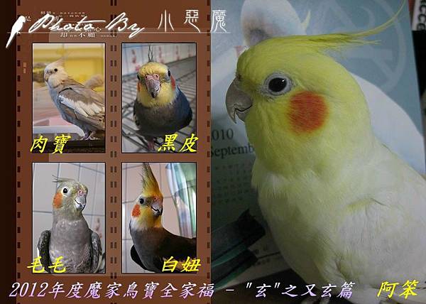 玄鳳組.JPG