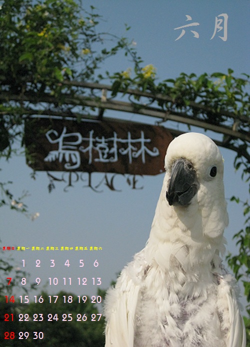 2009-06月曆