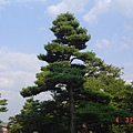 兼六園DSC02210.JPG