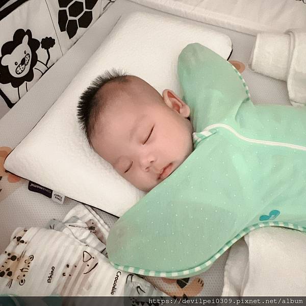 育兒好物 > 睡出漂亮頭型,護頭枕首選,來自愛爾蘭的孩童枕頭 育兒好物 > 睡出漂亮頭型,護頭枕首選,來自愛爾蘭的孩童枕頭