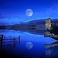 New_Moon%2C_Eagle-owl.jpg