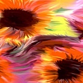 ws_Sunflowers_1024x768.jpg