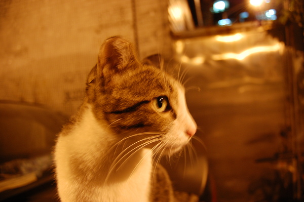 DSC_0033.JPG DSC_0033.JPG