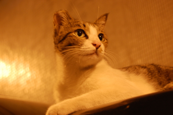 DSC_0054.JPG DSC_0054.JPG