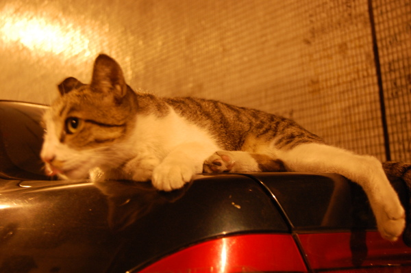 DSC_0067.JPG DSC_0067.JPG