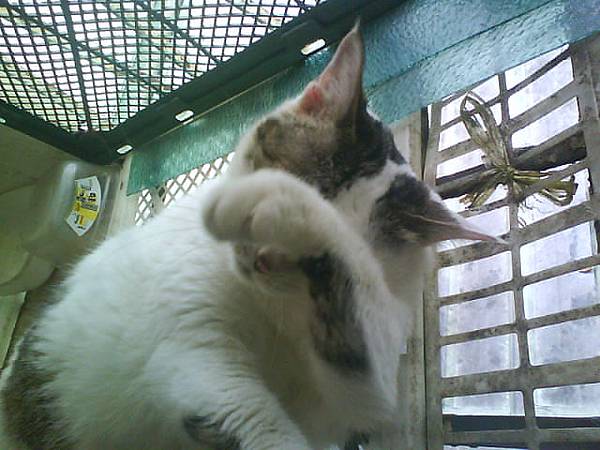 SHIKUSHIKU.JPG SHIKUSHIKU.JPG