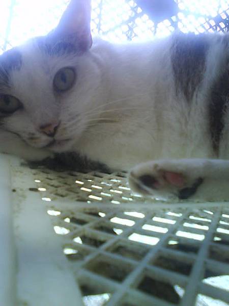 美美的抖2.JPG 美美的抖2.JPG